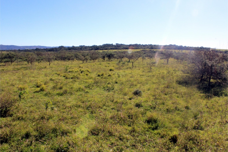 5 Bedroom Property for Sale in Mooiplaas Eastern Cape